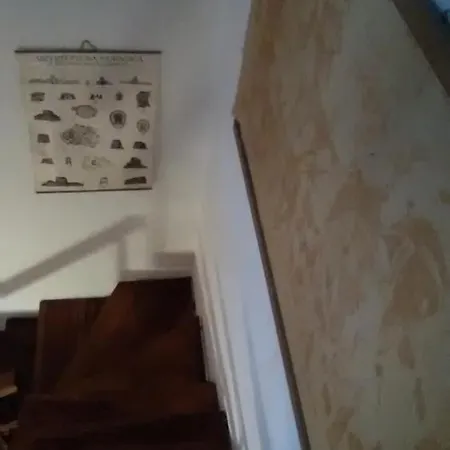 Affitta Camere Monte Grappa-2
