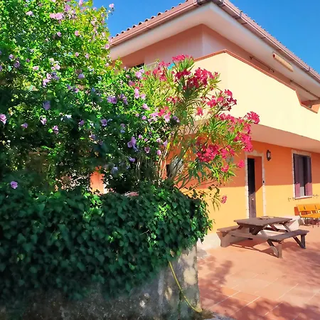 B&B Meladormo-3